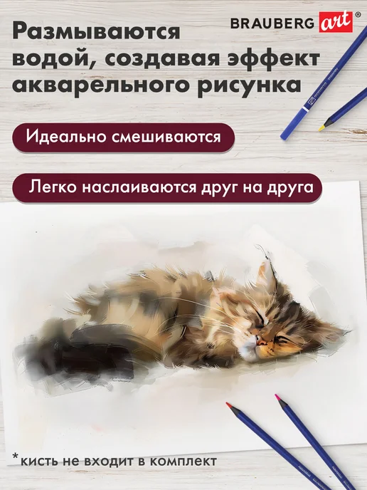Brauberg Карандаши цветные акварельные художественные, 24 цвета, 24 цв., фото 2