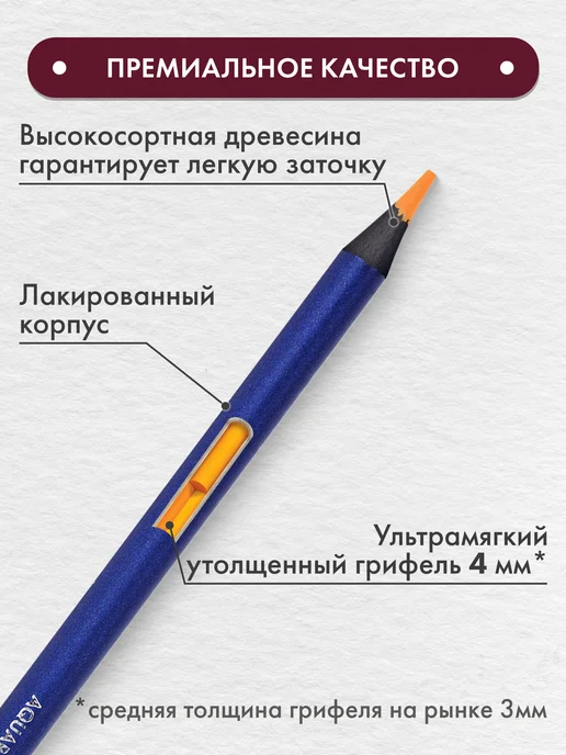 Brauberg Карандаши цветные акварельные художественные, 24 цвета, 24 цв., фото 3