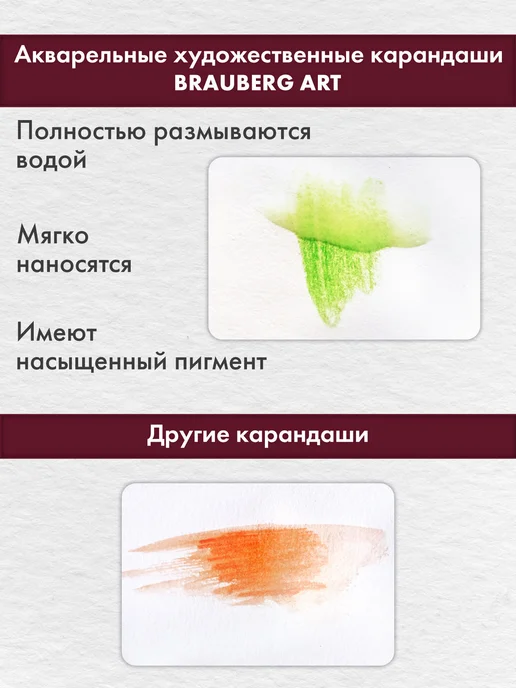 Brauberg Карандаши цветные акварельные художественные, 24 цвета, 24 цв., фото 5
