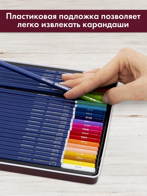 Brauberg Карандаши цветные акварельные художественные, 24 цвета, 24 цв., фото 7