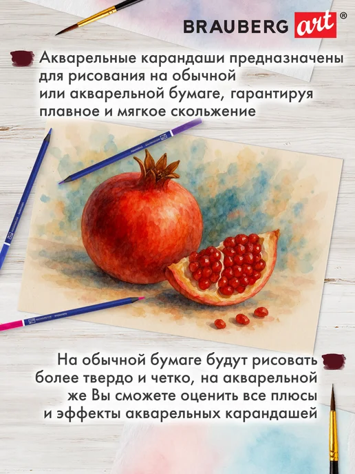 Brauberg Карандаши цветные акварельные художественные, 24 цвета, 24 цв., фото 8