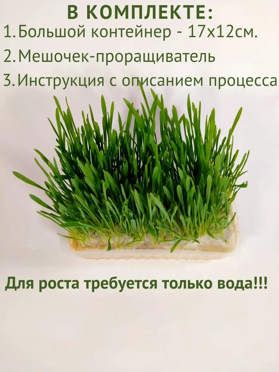 Травяная Смесь Для Когтеточки Купить В Спб