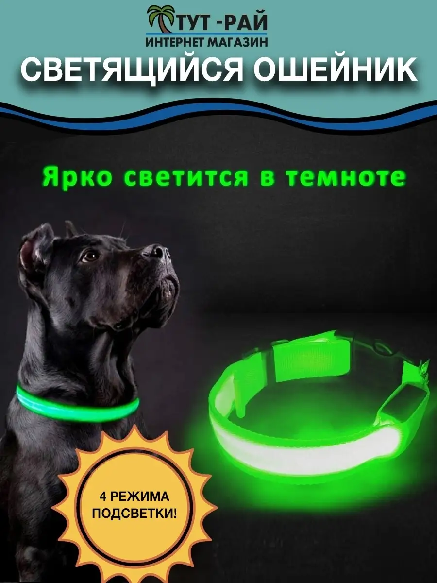 Описание светящегося брелка для собак, круглой формы: