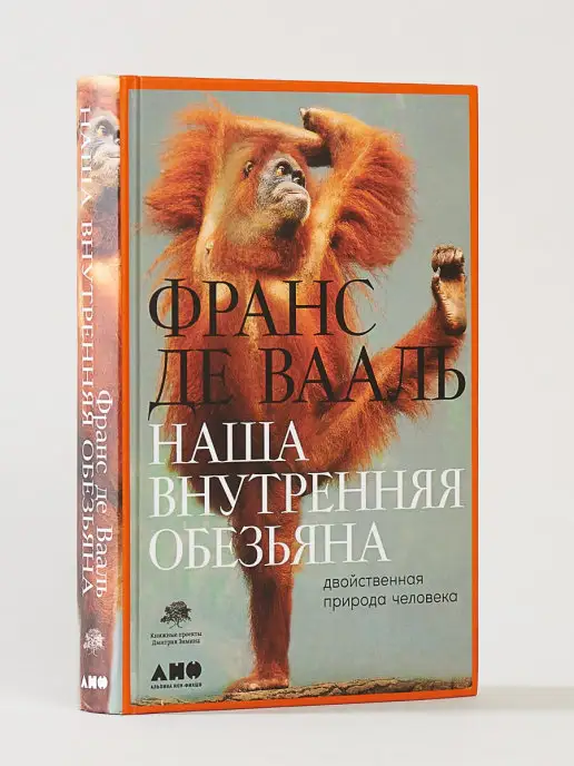 Секс у человека и обезьян: размер и правда имеет значение. Секс