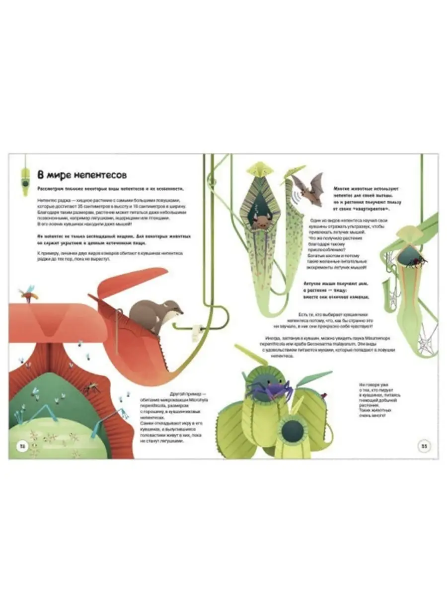 Все о хищных растениях для самых любознательных. Открытая книга 34817794  купить в интернет-магазине Wildberries