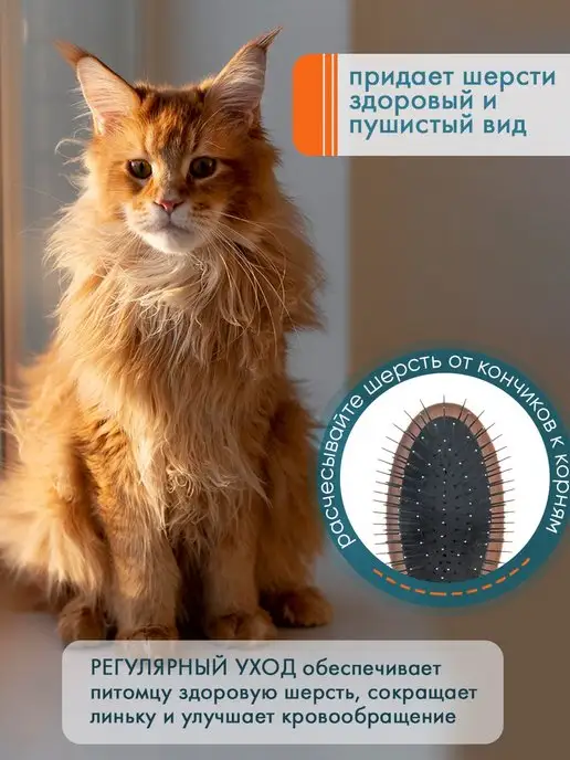 DeLight Щетка профессиональная, жесткий корд, 53313WS, черный, фото 4