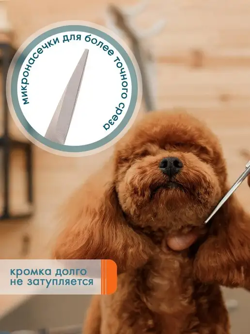 DeLight Ножницы для груминга собак и кошек, вариант, фото 3
