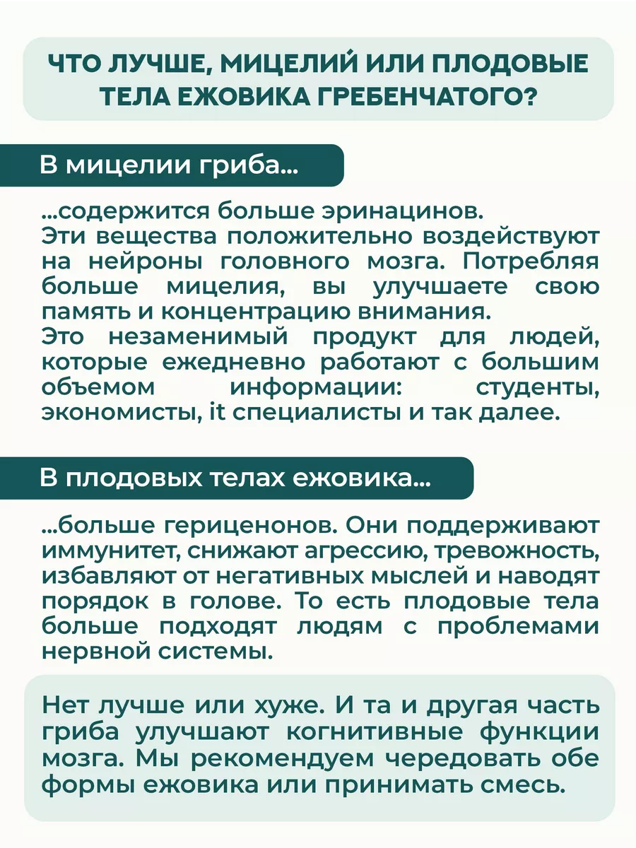 Ежовик гребенчатый (Ежевик) плодовые тела 100 г ByPlants 34959815 купить за  869 ₽ в интернет-магазине Wildberries