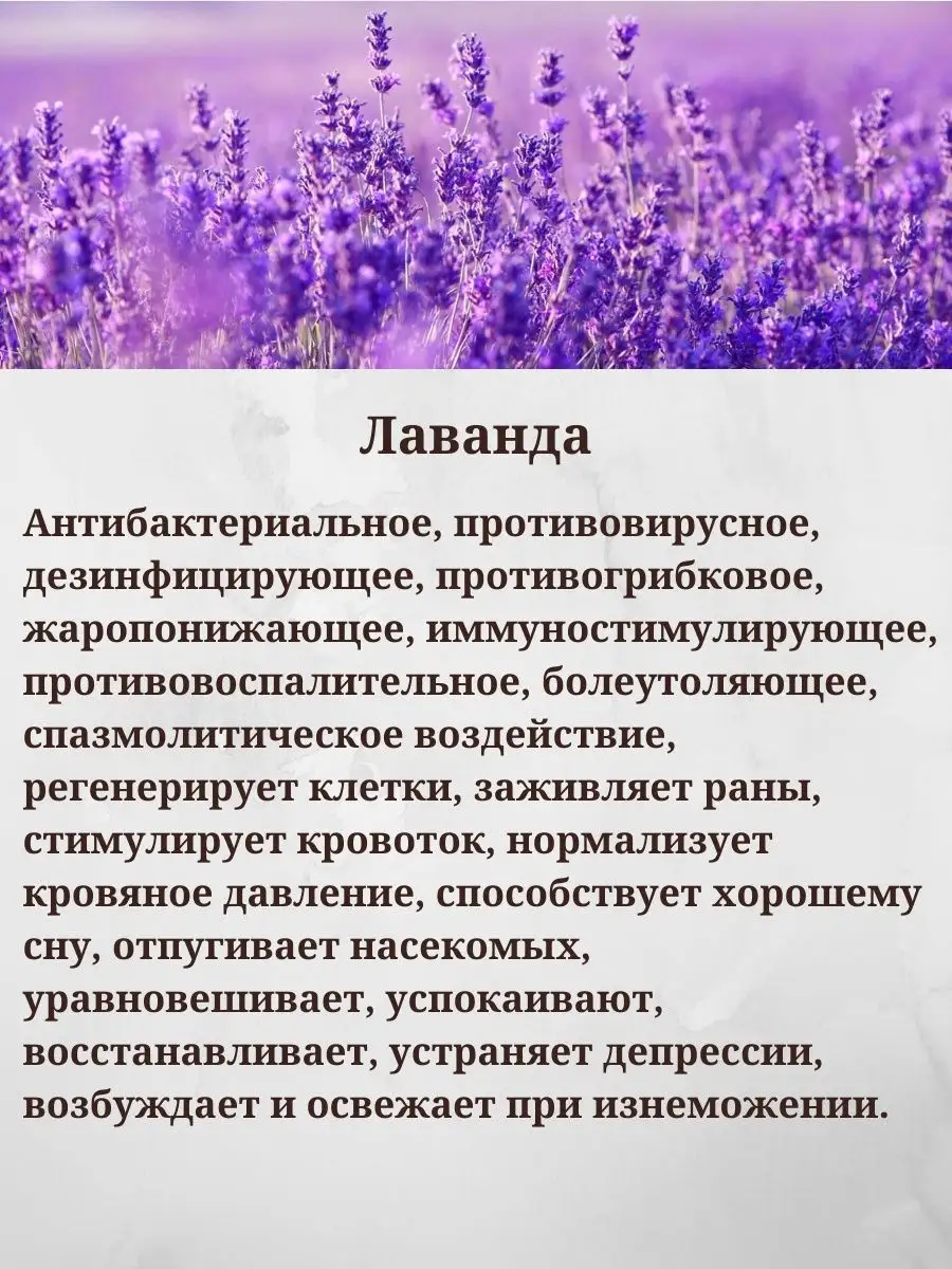 Натуральное эфирное масло от насекомых Вивасан Vivasan 34967610 купить за 2  320 ₽ в интернет-магазине Wildberries