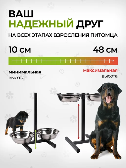DOGGY'S Миски для собак на подставке, вариант, фото 3