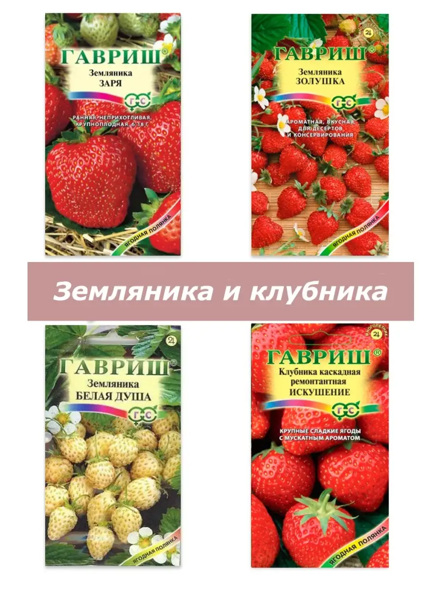 Набор семян, семена клубники и земляники Гавриш 35029173 купить в  интернет-магазине Wildberries