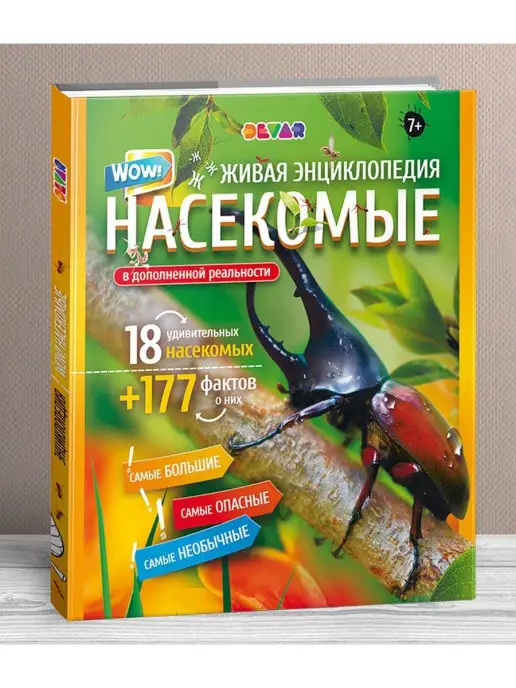 Насекомые и не только. От шмелей до навозных жуков: все ползуче-летучие факты, рекорды и достижения