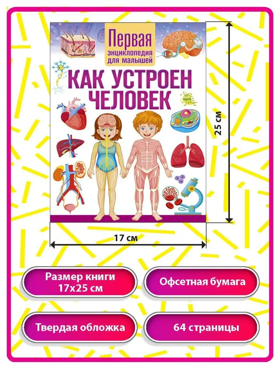 Как устроен человек. Первая энциклопедия для малышей Владис 35100341 купить  за 261 ₽ в интернет-магазине Wildberries