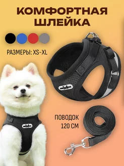 Шлейка для собак и кошек анатомическая MiloPets 35394784 купить за 499 ₽ в интернет-магазине Wildberries