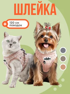 Шлейка для собак и кошек анатомическая MiloPets 35395129 купить за 429 ₽ в интернет-магазине Wildberries