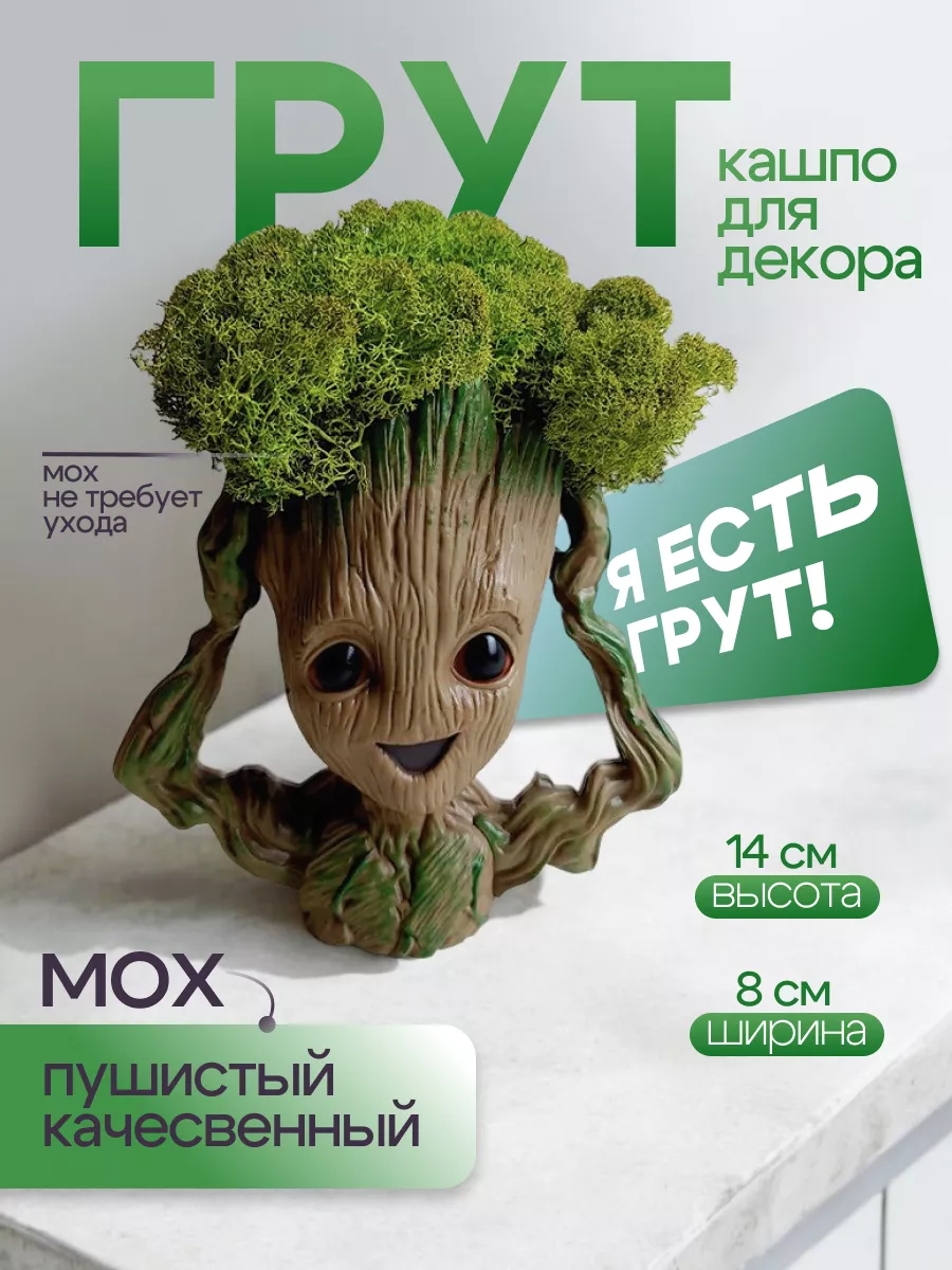 ГЕРОЙ ГРУТ ИЗ МСТИТЕЛЕЙ В КАШПО С МХОМ, для цветов, растение