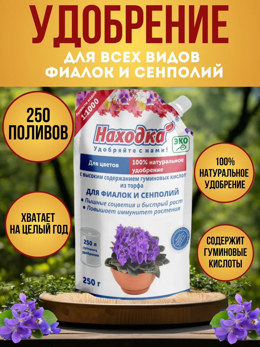 Подкормка комнатных цветов: чем удобрить растения в домашних условиях