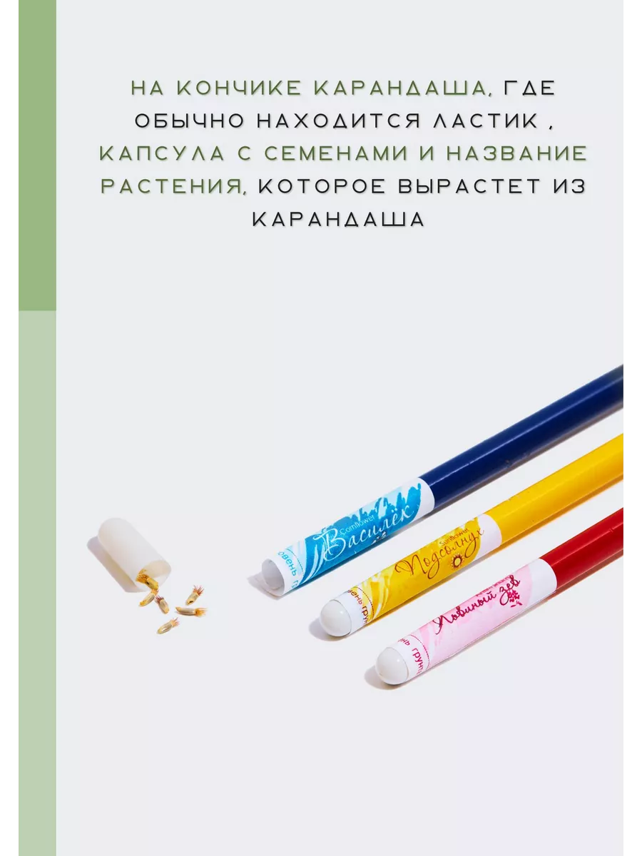 Карандаши простые 5шт, подарок на последний звонок. ECO подарки 35521120  купить за 1 087 ₽ в интернет-магазине Wildberries