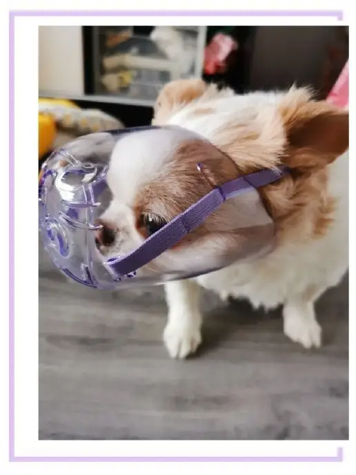 Pets Home Намордник для домашних животных, белый, фото 7