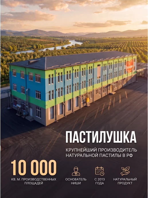 Пастилушка Пастила натуральная грушевая, 40 шт, фото 4