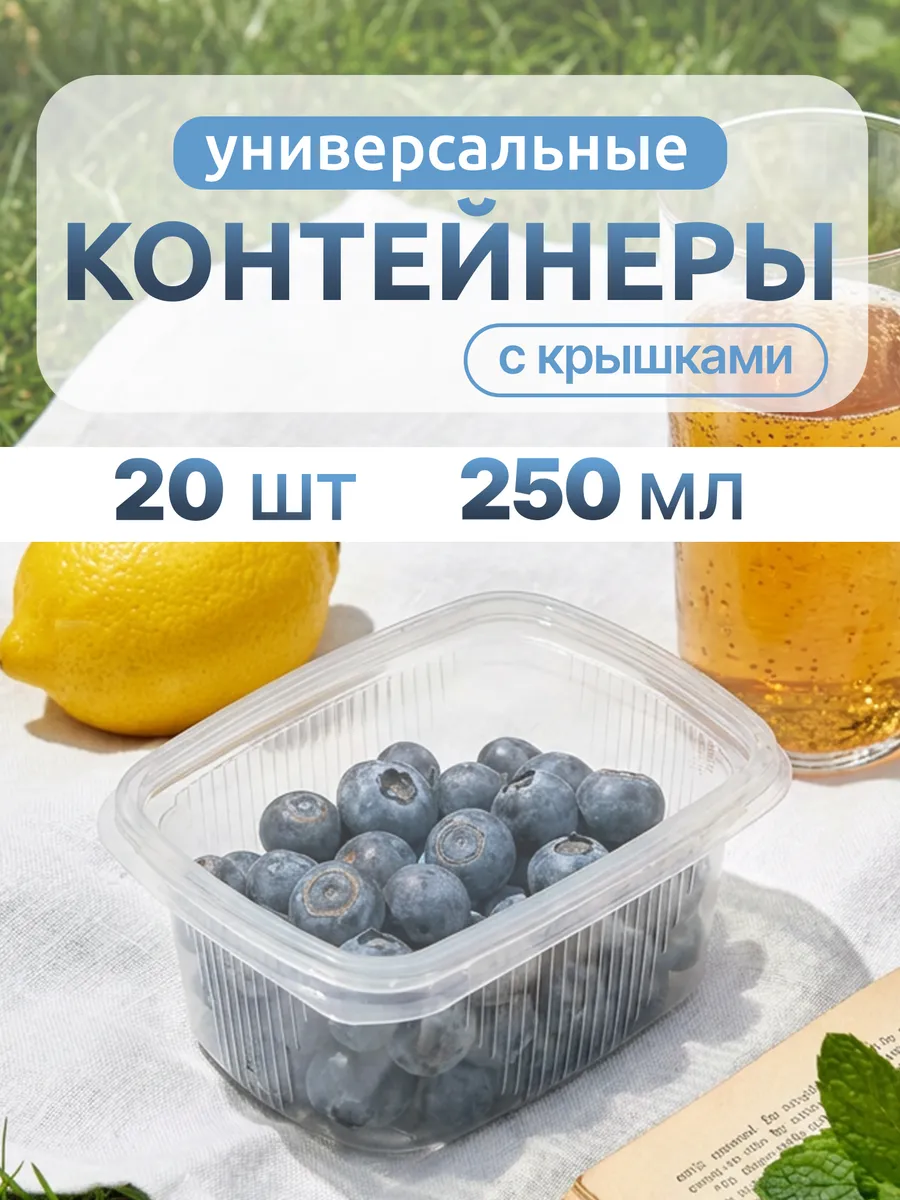 Одноразовые контейнеры пластиковые с крышкой 250 мл, 20 шт