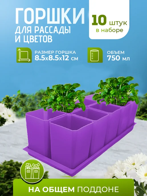 RAFECOFF Горшки для рассады и цветов 10 штук, вариант