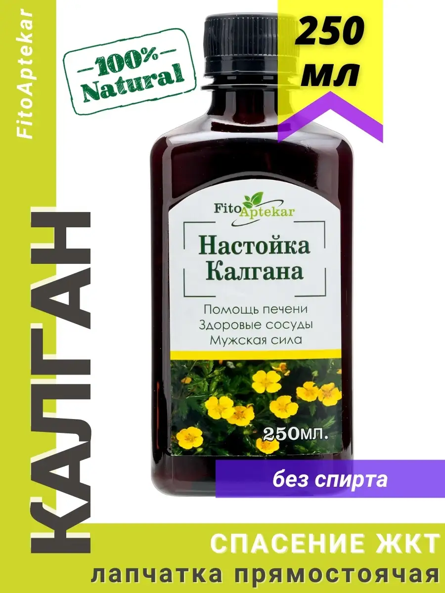 Настойка калгана, 250 мл ФИТО-АПТЕКАРЬ 35750673 купить за 1 121 ₽ в  интернет-магазине Wildberries