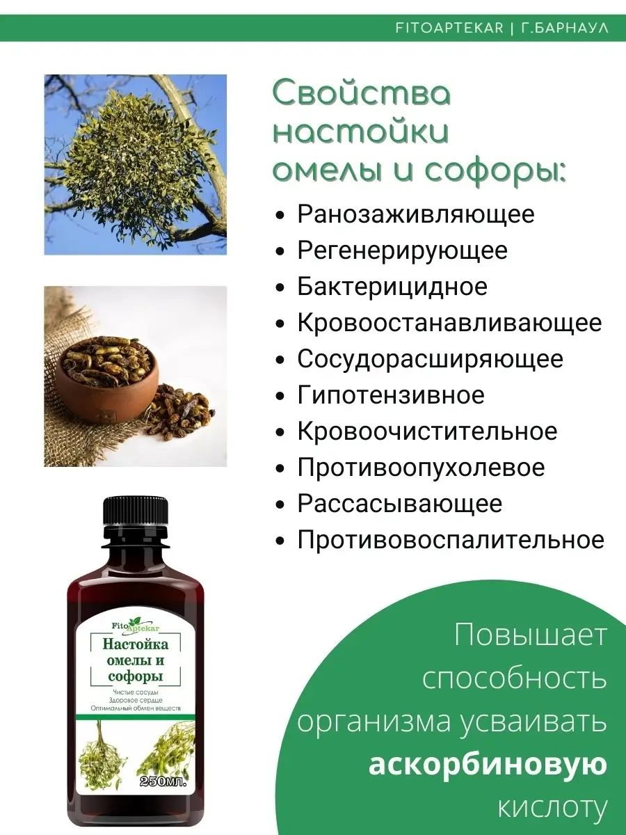 Настойка омелы и софоры, 250 мл ФИТО-АПТЕКАРЬ 35750686 купить за 967 ₽ в  интернет-магазине Wildberries