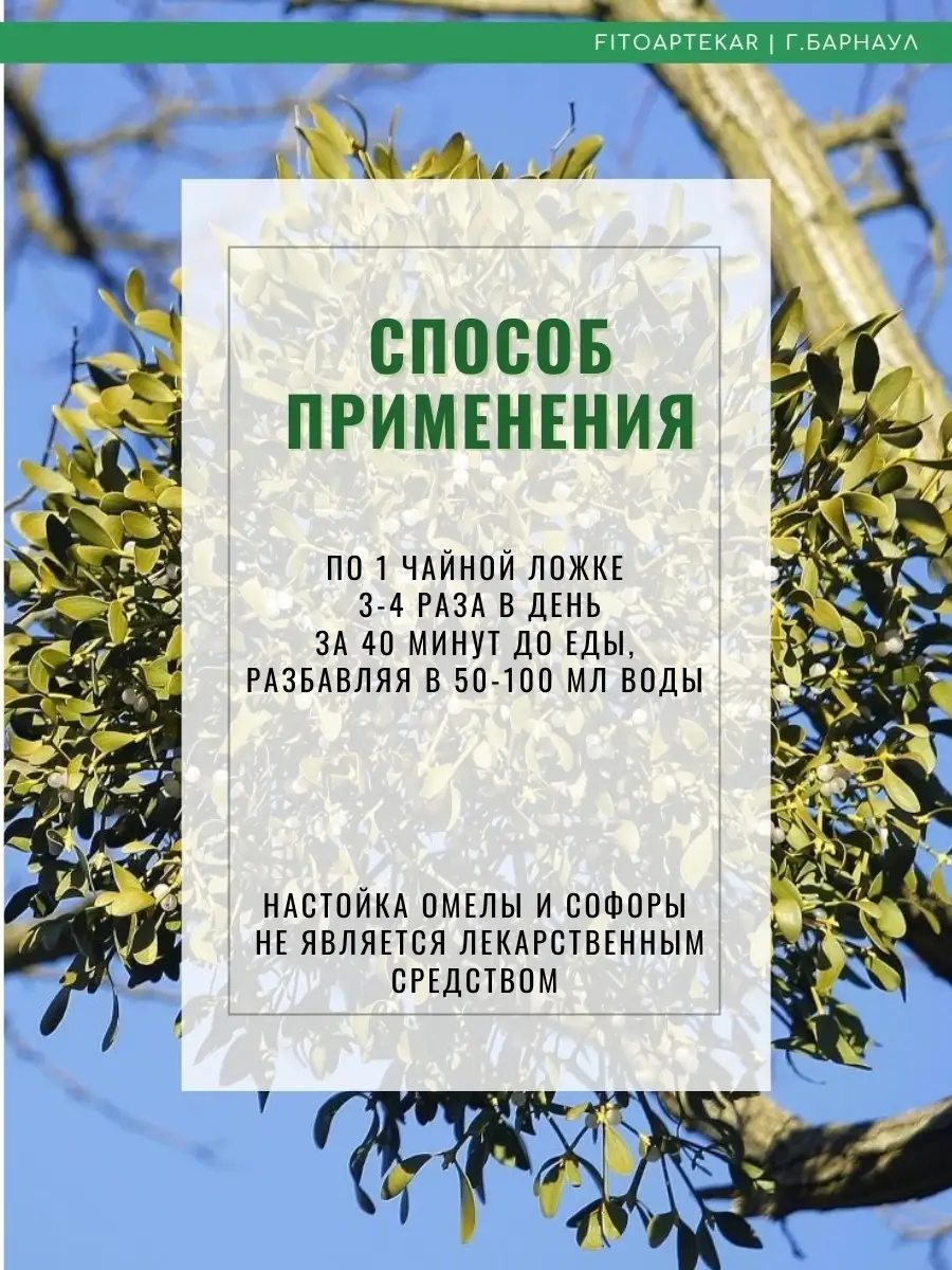 Настойка омелы и софоры, 250 мл ФИТО-АПТЕКАРЬ 35750686 купить за 967 ₽ в  интернет-магазине Wildberries