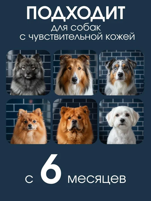 Uniclean Шампунь кондиционер для собак шпица гипоаллергенный, 300 мл, фото 4