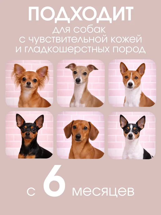 Uniclean Шампунь для собак от запаха для мелких пород чихуахуа, 300 мл, фото 5