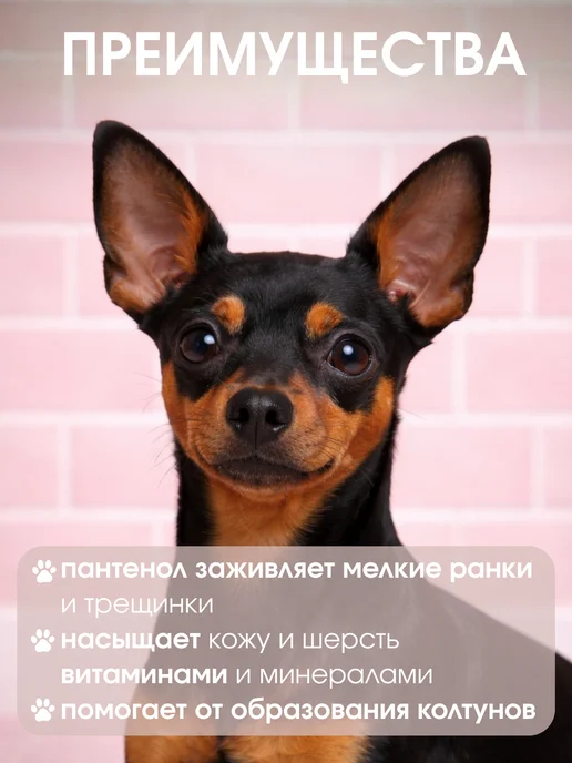 Uniclean Шампунь для собак от запаха для мелких пород чихуахуа, 300 мл, фото 7