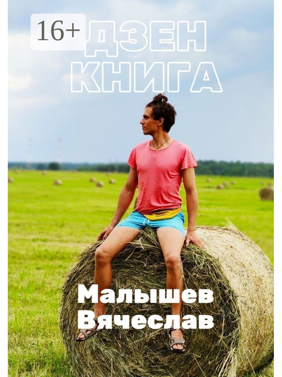 Книги дзен канал. Дзен книга. Вячеслав Малышев. Дзен. Книга Вячеслав Анатольевич Малышев книга. Русский дзен книга.