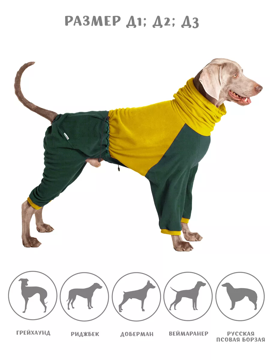 Как определить размер одежды для собаки?