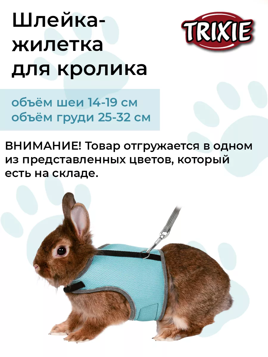 Шлейка для кролика: как выбрать и приучить к ней питомца