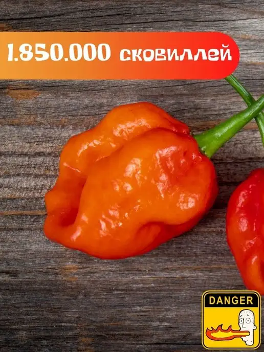 Про Растения Набор для выращивания растений на балконе дома перец, вариант, фото 2