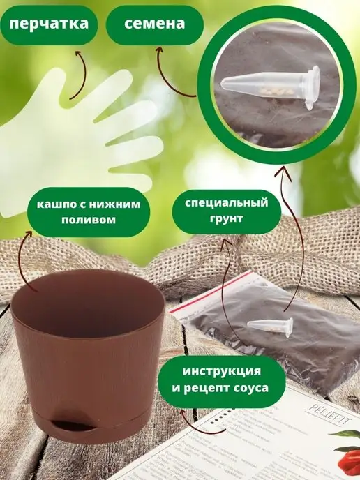 Про Растения Набор для выращивания растений на балконе дома перец, вариант, фото 3