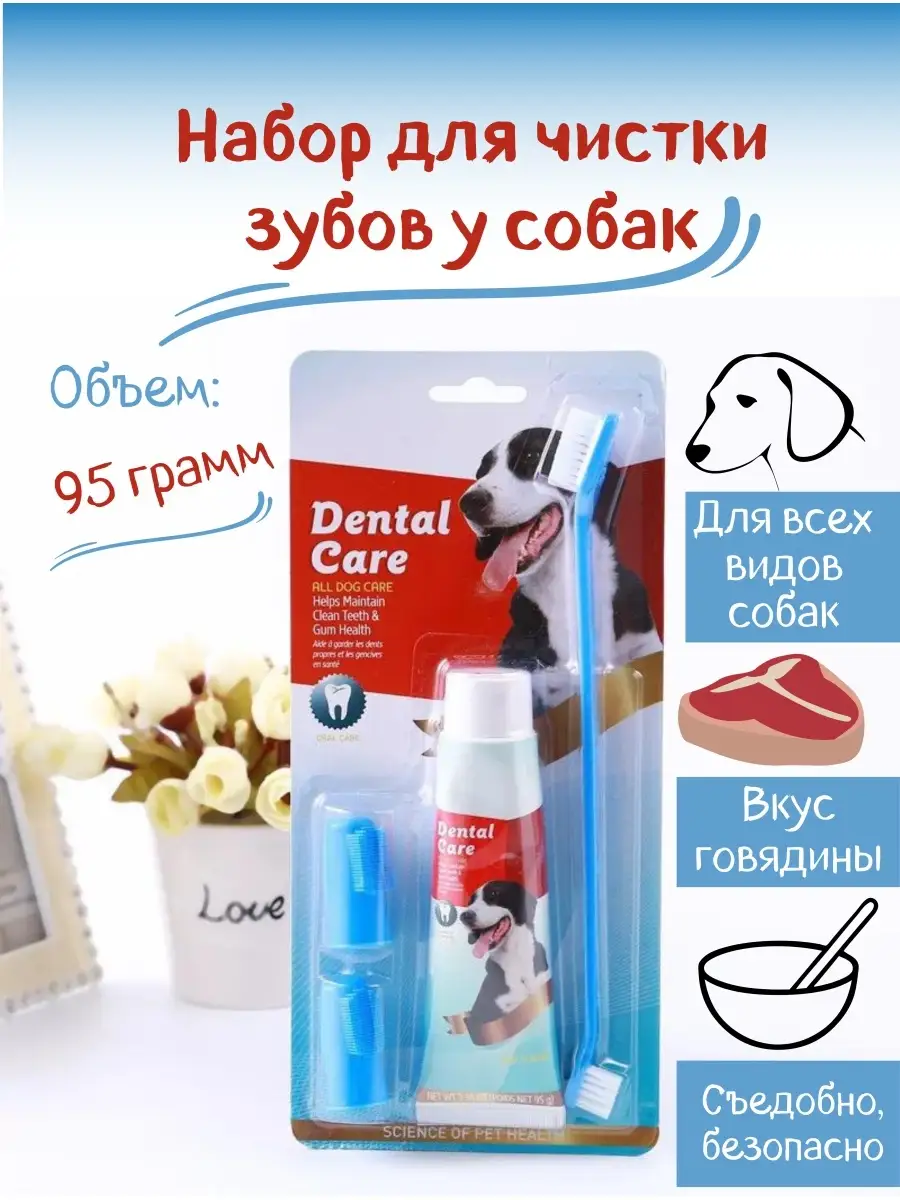 Зубная паста и щетка для собак и кошек Ah-Pet 36177898 купить за 347 ₽ в  интернет-магазине Wildberries