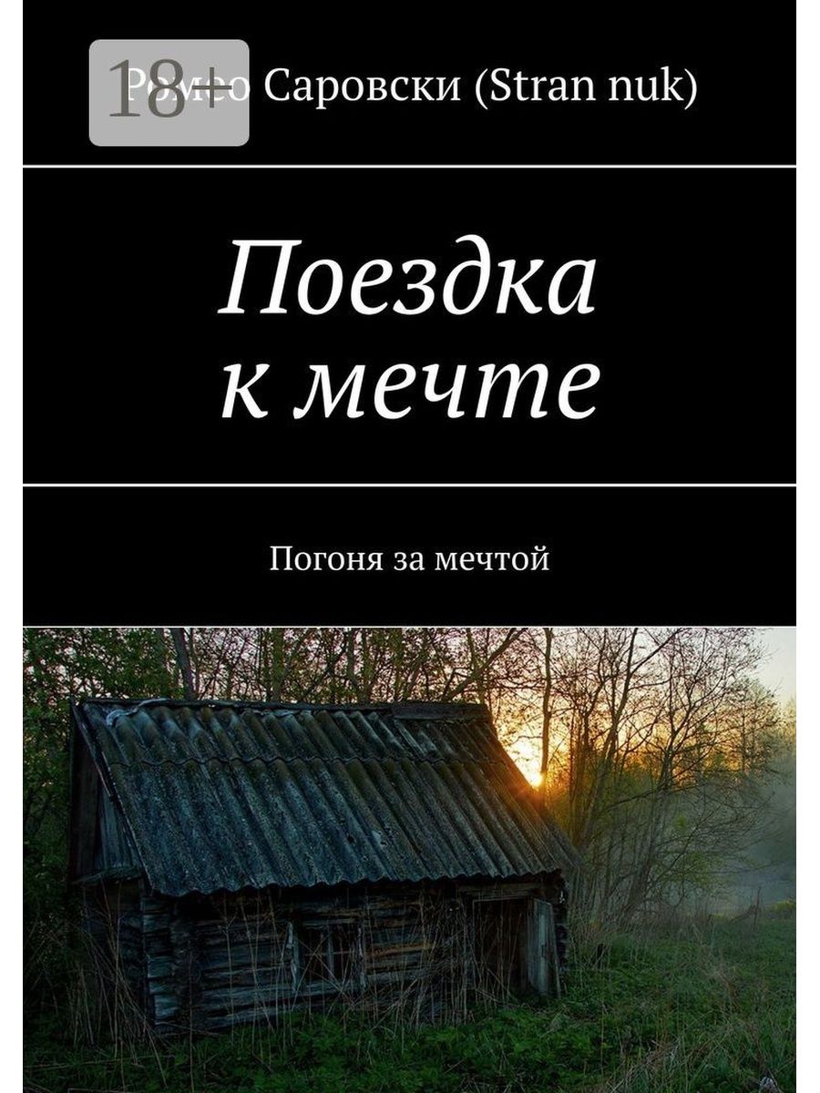 Погоня за мечтой книга