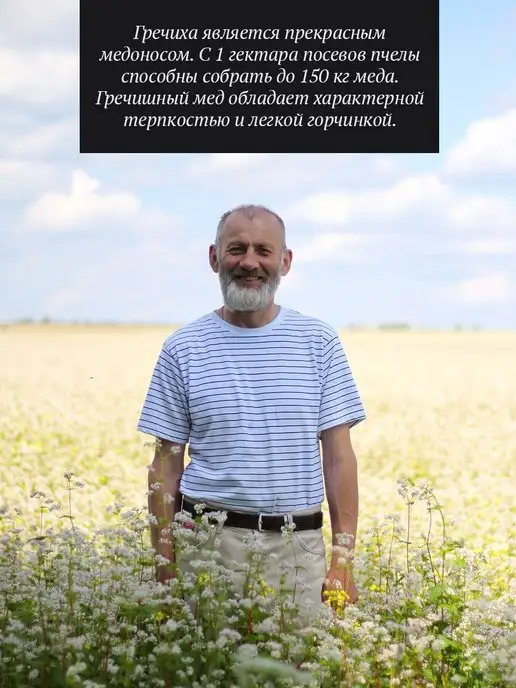 Добрый пасечник Гречишный мед густой 1 кг, 1 кг, фото 3