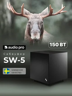 Активный сабвуфер 150 Вт SW-5 AUDIO PRO 36340739 купить за 31 182 ₽ в интернет-магазине Wildberries