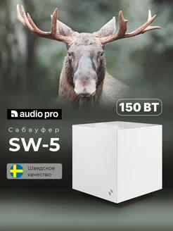 Активный сабвуфер 150 Вт SW-5 AUDIO PRO 36340740 купить за 31 182 ₽ в интернет-магазине Wildberries