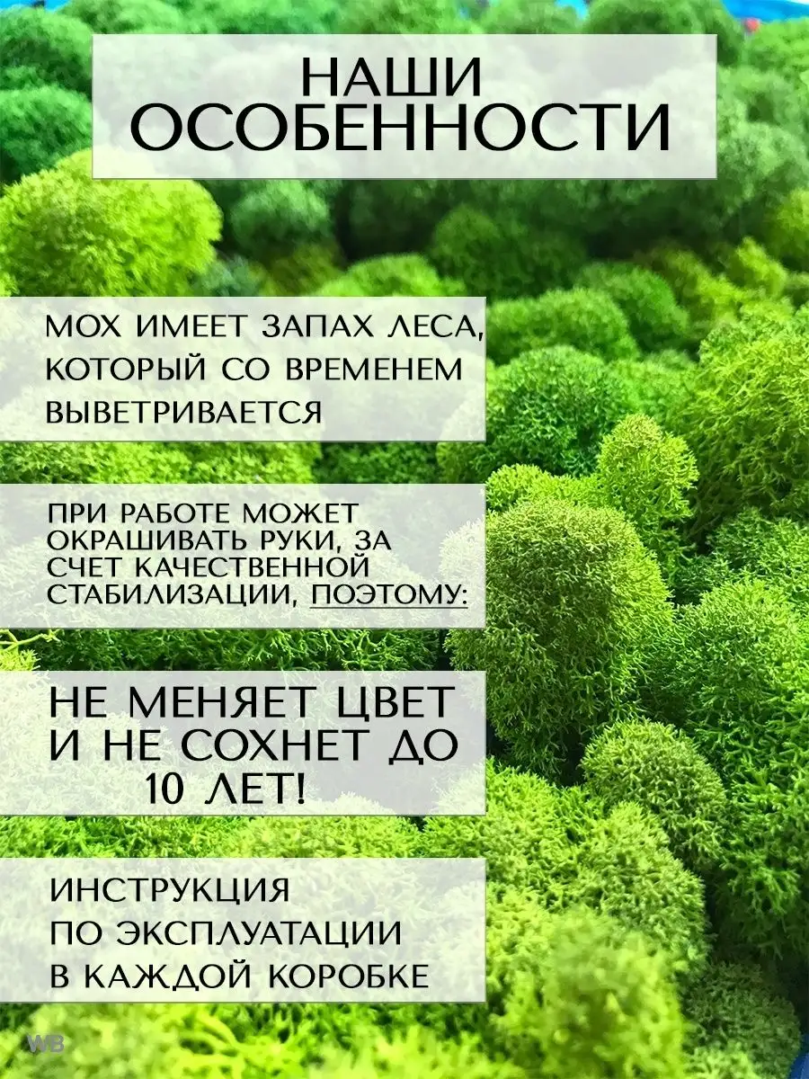 Мох стабилизированный ягель 1 кг для декора Планета Флористики 36373999  купить за 1 509 ₽ в интернет-магазине Wildberries