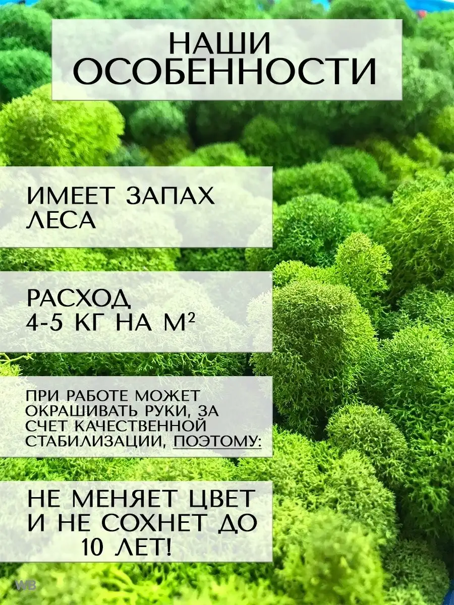 Мох стабилизированный ягель 1 кг для декора Планета Флористики 36373999  купить за 1 509 ₽ в интернет-магазине Wildberries