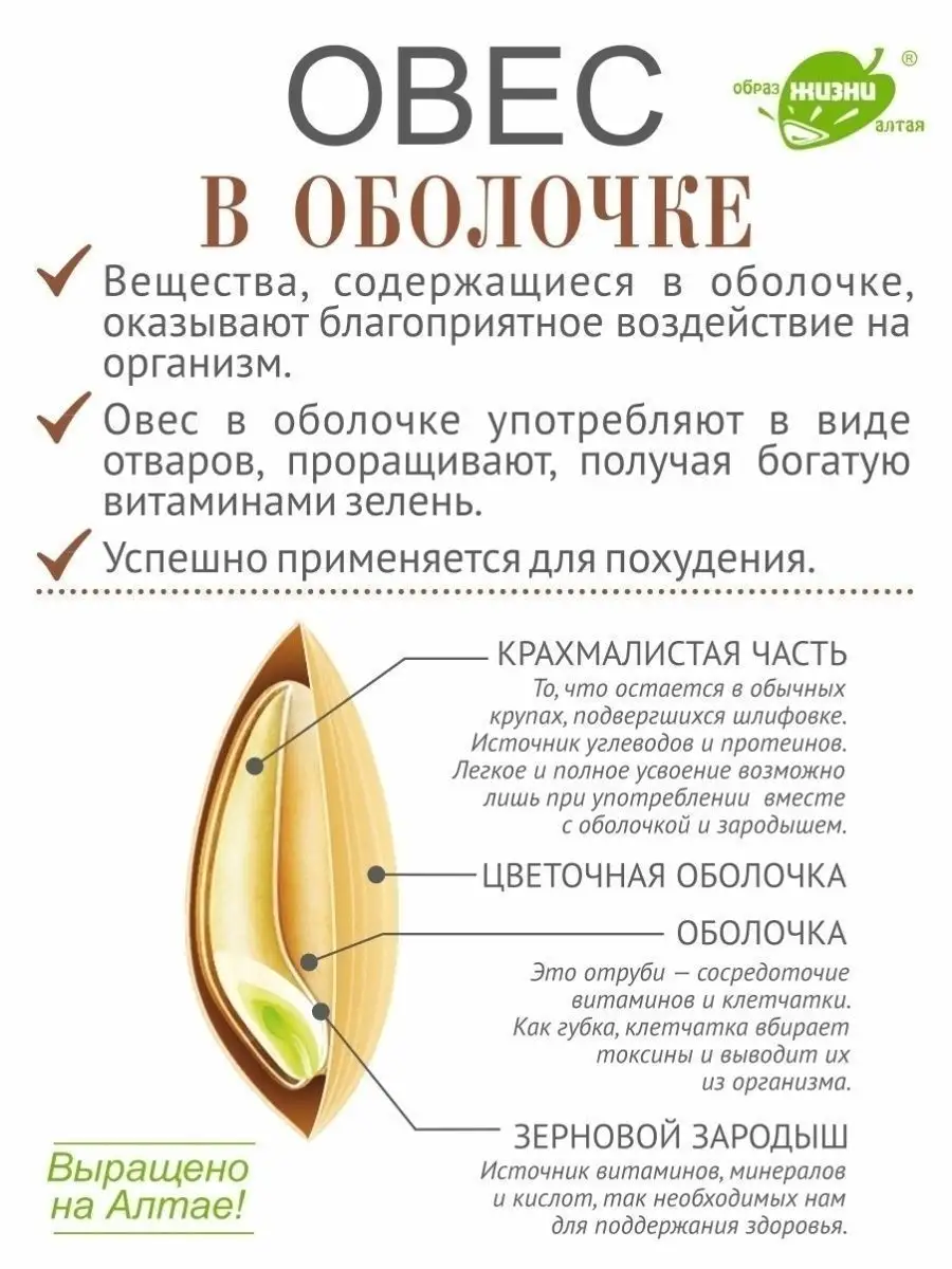 Овес в оболочке неочищенный для полезных отваров, 1200г Образ жизни Алтая  36394306 купить за 352 ₽ в интернет-магазине Wildberries