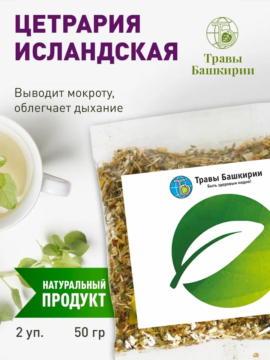 Цетрария, исландский мох KAMCHATKA 36458623 купить в интернет-магазине  Wildberries