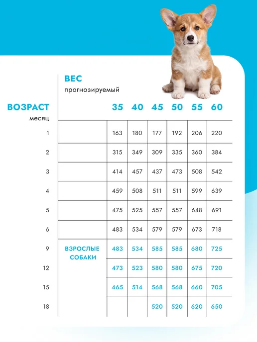 Сухой корм Best dinner Ягоды для собак, щенки, ягненок, 1,5 кг, фото 6