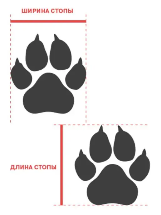 Zoostyle Зимняя обувь для собак, голубой, фото 3