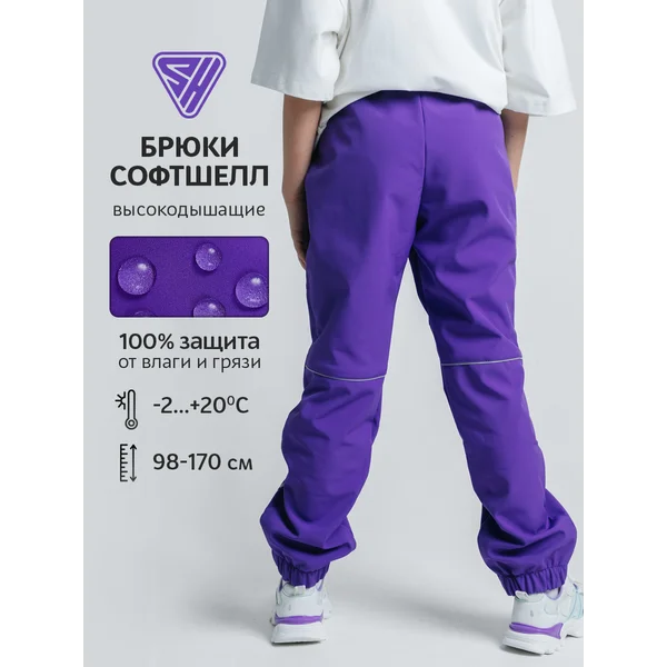 Штаны непромокаемые демисезонные софтшелл