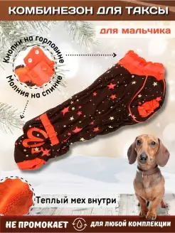 Тёплый комбинезон для таксы зимний, кобель мальчик, Звёзды ForMyDogs 36818284 купить за 2 558 ₽ в интернет-магазине Wildberries